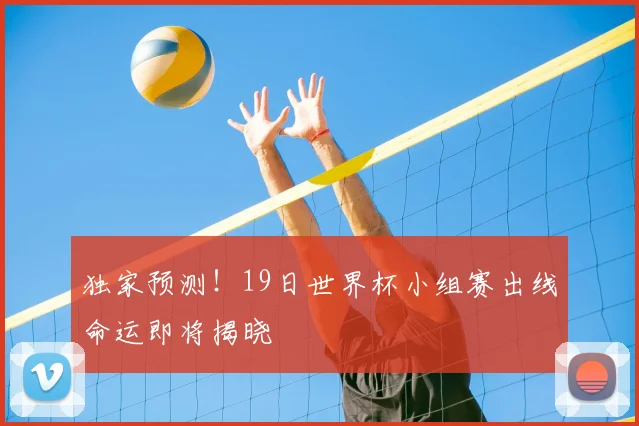 独家预测！19日世界杯小组赛出线命运即将揭晓