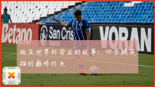 狗亚世界杯背后的故事：四条腿英雄的巅峰对决