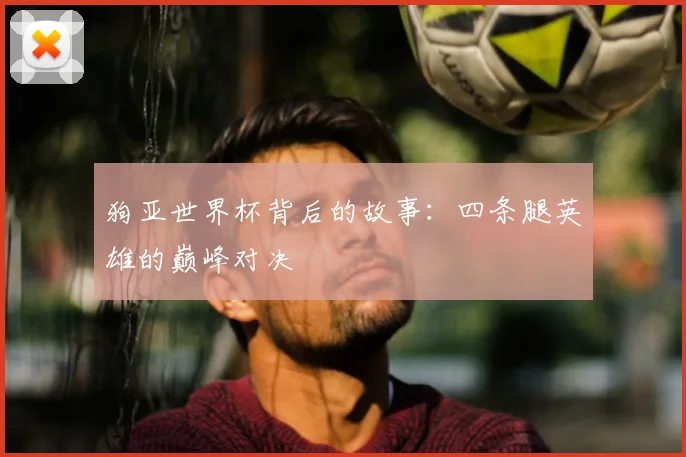狗亚世界杯背后的故事：四条腿英雄的巅峰对决