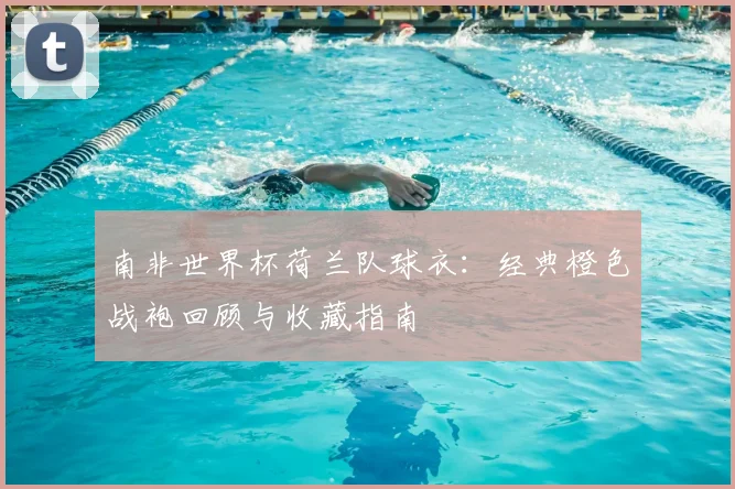 南非世界杯荷兰队球衣:经典橙色战袍回顾与收藏指南