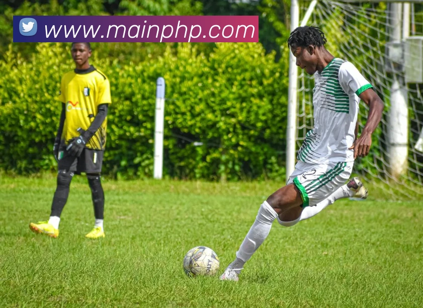 bobsports体育官网平台生态图